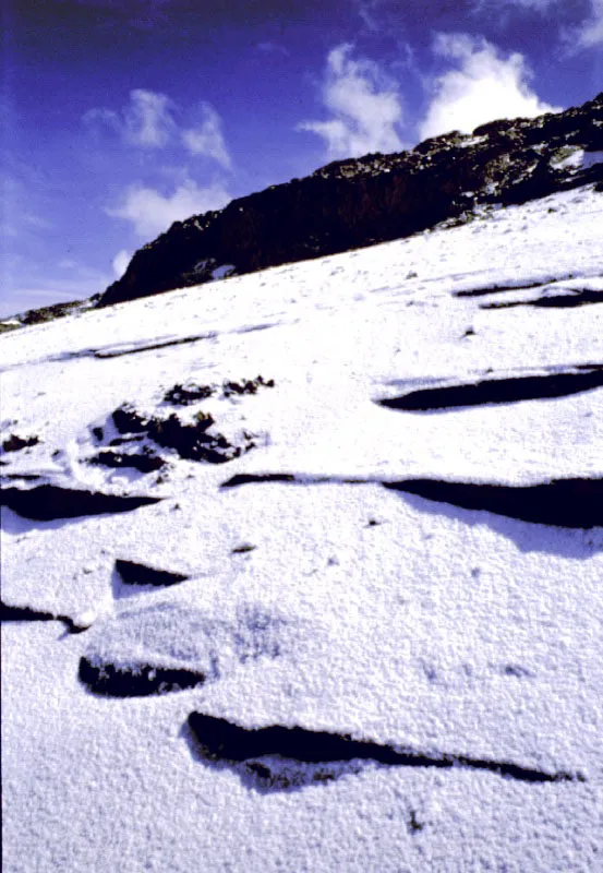 Arenales del Ruiz. Parque Nacional de Los Nevados, Caldas. Cristbal von Rothkirch