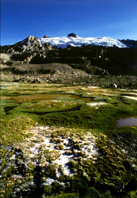 Picos Sin Nombre y La Aguja. Sierra Nevada del Cocuy, Boyac.  Cristbal von Rothkirch