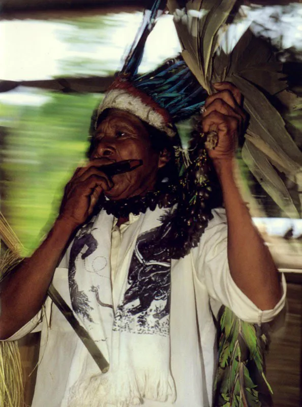 Viejas tradiciones 
asimilan nuevas influencias en la danza de un 
indio Huitoto del Caquet, que aadi la armnica a su 
canto e incorpor la bufanda del vaquero a su cultura de la selva. 
 Aldo Brando