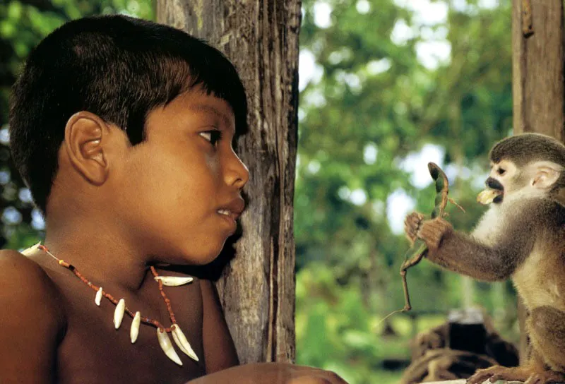 Bautizado con el 
apellido del libertador colombiano, el nio Bolvar 
contempla la habilidad con que un mono tit, mascota entre una 
comunidad de Inganos del Caquet, extrae los frutos de un pequeo guamo.  Aldo Brando