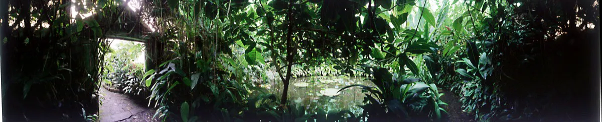 Invernadero tropical, selva amaznica. La temperatura y humedad propias de este ecosistema se logran gracias a un dosel cerrado y a cuerpos de agua con plantas flotantes. Cristbal von Rothkirch