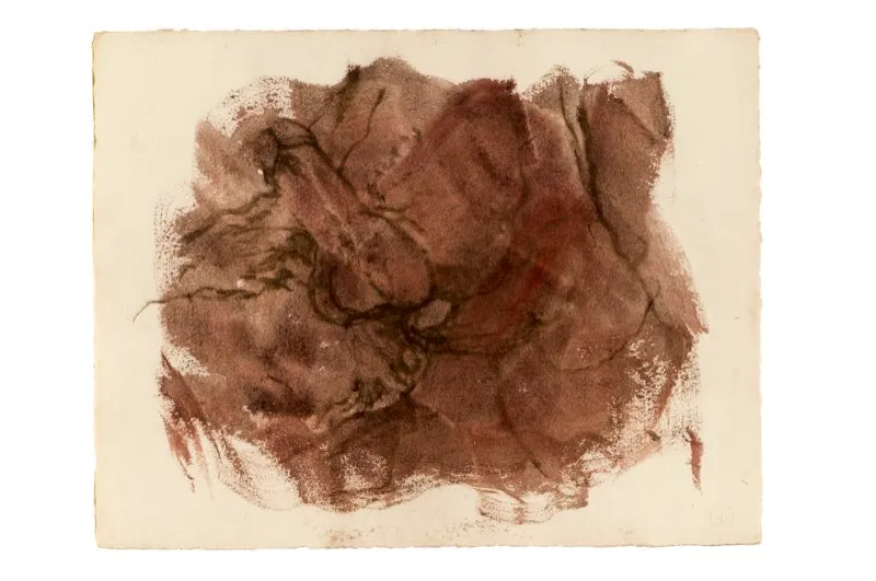 Carboncillo, sanguina y aguada de leo sobre papel / 34 cm x 43,5 cm 
