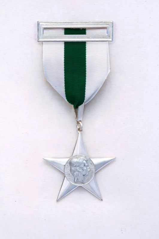 Medalla Mrito Ciudadano. 