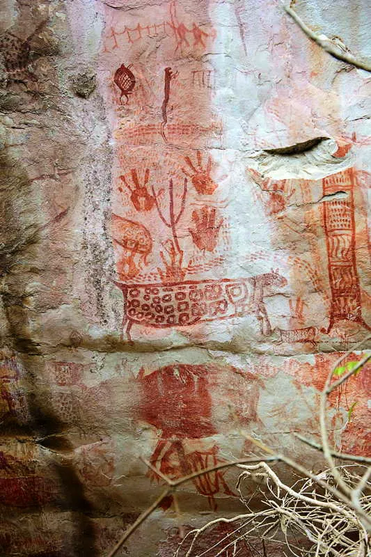 La representacin de la lnula con bastn-poste- vara-rbol-rama es un cono reiterativo en los murales de Chiribiquete (tridgito), tanto de tipo figurativo como abstracto. En este caso acompaa la escena ritual propia de la Fase Ajaju, encima de un jaguar y manos refrendadoras de poder. 