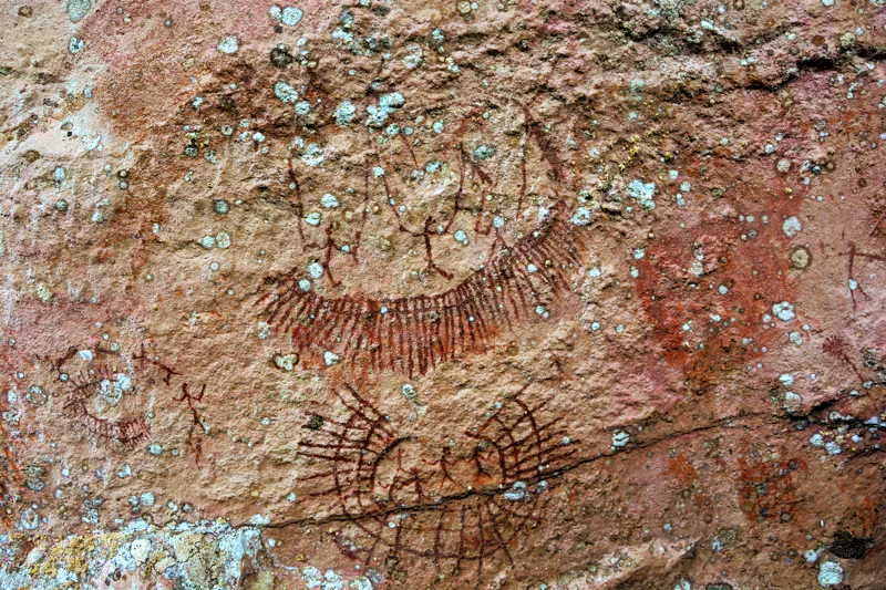 Dentro de la iconografa de Chiribiquete, son frecuentes las danzas en forma de lnula humana en la Fase Ajaju. En este caso, en el Abrigo de La Isla, tres danzantes principales lo hacen con ramas y lanzas en sus manos. Las ramas muestran una inflorescencia grande en dos de las figuras. Hay que observar el tocado de los hombres danzantes, en forma de lnula, en este caso, bastante rectiformes. 