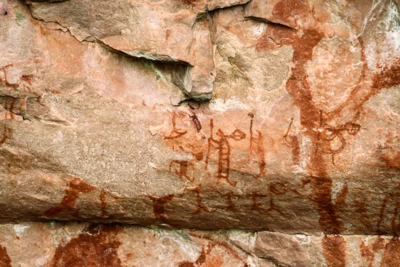 Un nutrido conjunto de dibujos relacionados con hombres que trepan un rbol o un poste, en medio de danzas y bailes propiciatorios, muy frecuentes en Chiribiquete. Las representaciones los muestran con el cuerpo arqueado y con brazos y piernas pegados al tronco. Generalmente, son varios hombres en fila, uno encima del otro y, en no pocas oportunidades, estn a lado y lado del eje vertical. En la Fase Ajaju es fcil distinguirlos; en las otras estn totalmente codificados en su versin ms abstracta, asemejando varias circunferencias atravesadas por un eje vertical. 