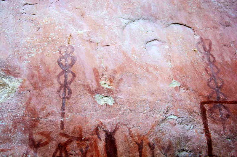 En las fases Guayabero/ Guaviare se observan los postes-rboles en vertical, con algunos crculos que codifican y geometrizan la figura humana a ambos lados del rbol, trepando en forma de arco; en este caso estn formadas por el cuerpo de los hombres que se agarran a ambos lados del eje vertical, formando una cadena de crculos, semicrculos o incluso rombos partidos por mitades. Las diferencias entre estas dos fases semiabstracta (Fase Guayabero) y abstracta (Fase Papamene) consisten en que, en la primera, se observan generalmente figuras danzando y bailando en la base del poste-rbol y, en la segunda, se omiten estos elementos como no sean totalmente abstractos. En esta imagen del sitio J-Agreste en Chiribiquete, la escena fue repintada con una capa de pintura blanquecina acuosa, como ltimo toque ceremonial, aspecto este muy frecuente en algunos murales. 