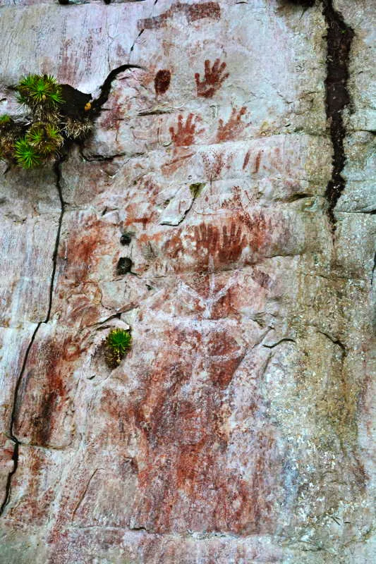 En esta iconografa se reitera de nuevo el complejo Rama-Canoa, en este caso en pintura blanca sobre escenas de bailes de Canoa Csmica Floreada de rojo sangre. Varias manos acompaan la escena a ttulo de refrendacin. 