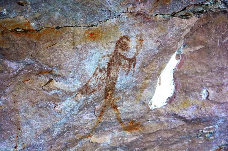 El hombre guacamaya personifica el carcter especial y tutelar de este animal dentro de la mitologa y el simbolismo, asociado a transportar y transferir conocimiento y a portar la palabra. Su imagen y su papel metafrico estn muy ligados a la figura del jaguar y de los hombres cazadores y guerreros. 