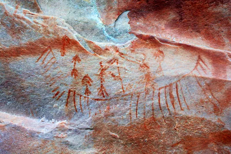 Las escenas rituales de la Fase Ajaju en Chiribiquete permiten inferir elementos importantes de danza, canto y dramatizacin en los que las vestimentas son pieza fundamental. En esta imagen, hombres ataviados con trajes, bculos y objetos ceremoniales danzan alrededor de personajes importantes del rito. 