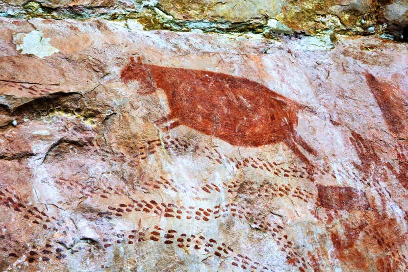 Las impresiones dactilares son, adems, conectores que amarran la conceptualizacin de una o varias escenas dentro de los murales de Chiribiquete. 