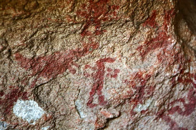 En el Per, se han documentado cientos de pinturas y grabados rupestres en la regin de Macusani y Corani, al norte y oriente del lago Titicaca, en los que se lee la relacin del tipo de arma con las caractersticas propias de los cazadores. En este caso, son guerreros capturando guanacos en el Paleoindio y Arcaico, asimilables al estilo peruano de Toquepala. En la imagen, un hombre reptiliano emparentado con la TCC. 