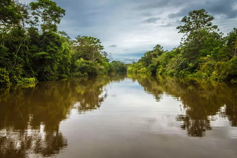 La inmensidad de la selva y sus cursos hdricos son el elemento definitivo de la vida de un cazador amaznico. Conocer las intrincadas redes y flujos vitales de animales y plantas se vuelve un imponderable para el hombre nativo. 