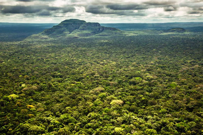 Las vastas extensiones de selva, al lado del cerro de la Campana en Chiribiquete son el prembulo selvtico de un entorno que poco a poco se asume en roca y escarpes emergentes. En esta franja, han habitado pueblos milenarios que, como los carijona, resguardaron esta extensa serrana. 