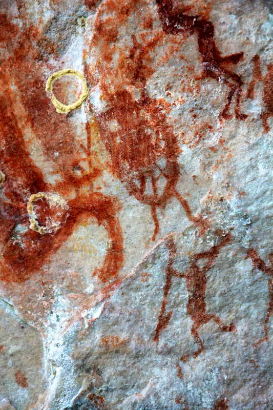 En algunas pinturas de guerreros se alcanzan a observar escudos de gran tamao que esconden la figura de los hombres que se enfrentarn en batalla. De acuerdo con las crnicas etnohistricas, estos escudos eran confeccionados, muchas veces de fibras vegetales muy tupidas o de cuero de danta. 