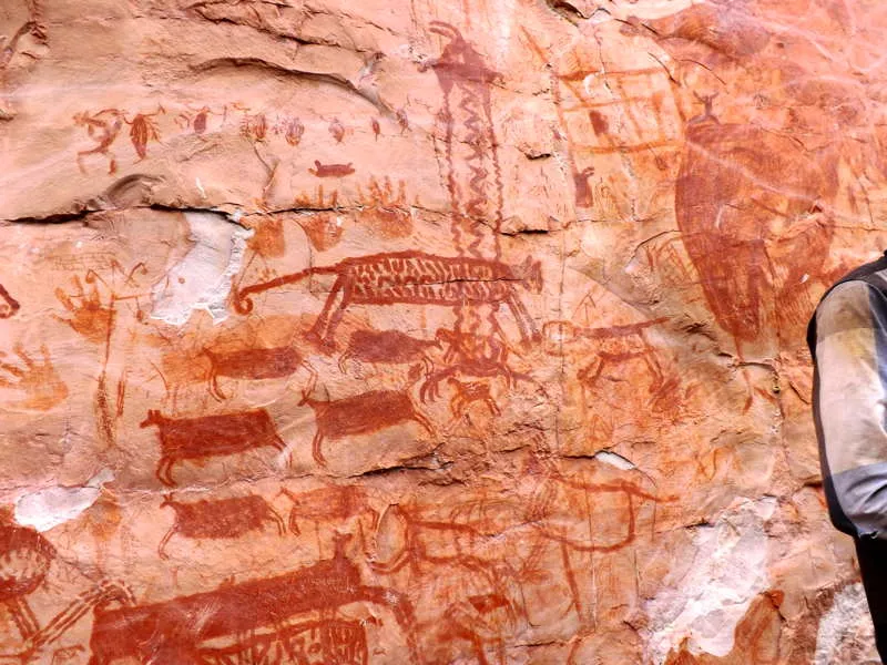 Para muchas comunidades indgenas de la regin prxima a Chiribiquete, el carcter ritual de los murales est relacionado con el mantenimiento y la reproduccin de los animales. De acuerdo con Reichel- Dolmatoff, la cosmologa de muchas de estas tribus est en funcin de lograr la conservacin y reproduccin del medio ambiente y de los animales, por supuesto. En esta imagen, el Jaguar Tutelar lleva un rebao de venados. 