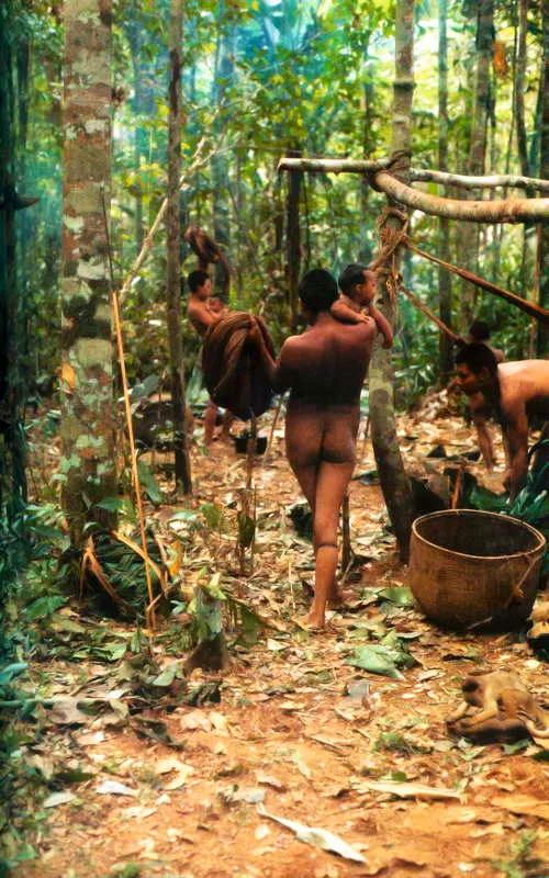 Detalle de los campamentos de verano de los indios nukak, un grupo de cazadores- recolectores, recientemente contactados en un frente colonizador a mediados de los aos ochenta en el departamento del Guaviare. 