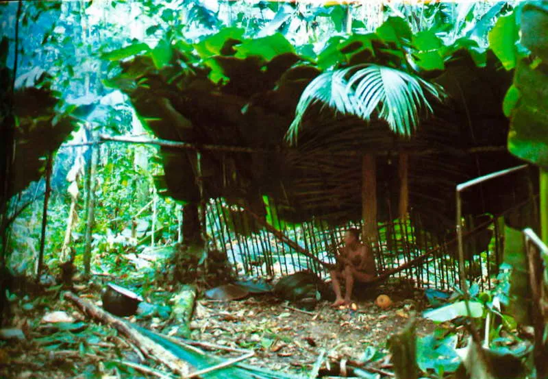 Detalle de las cubiertas de techo y pared lateral de un campamento transitorio nukak para la poca de invierno. Politis, 1996-SINCHI 