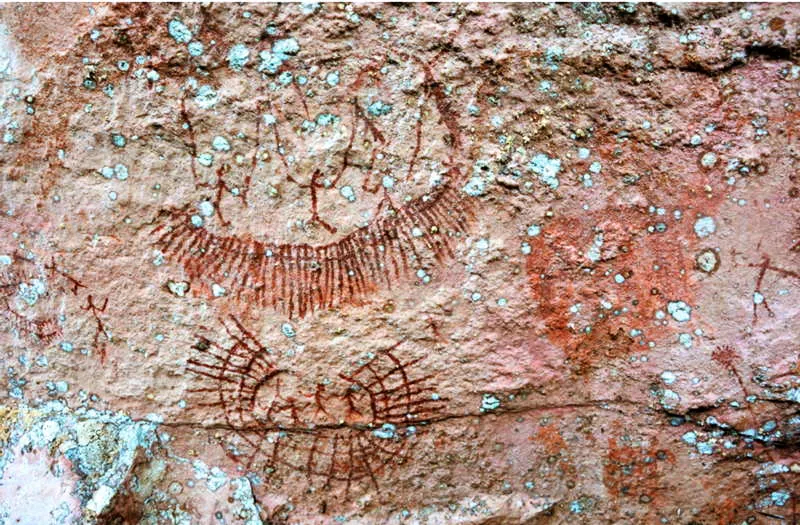 En varias representaciones pictricas de Chiribiquete, se observan no solo campamentos en forma de lnulas (con hombres en su interior), sino danzas rituales, tambin en forma de lnula. En la imagen, los bailarines centrales llevan en sus manos plantas sagradas, como el yaj, en un baile ritual. 