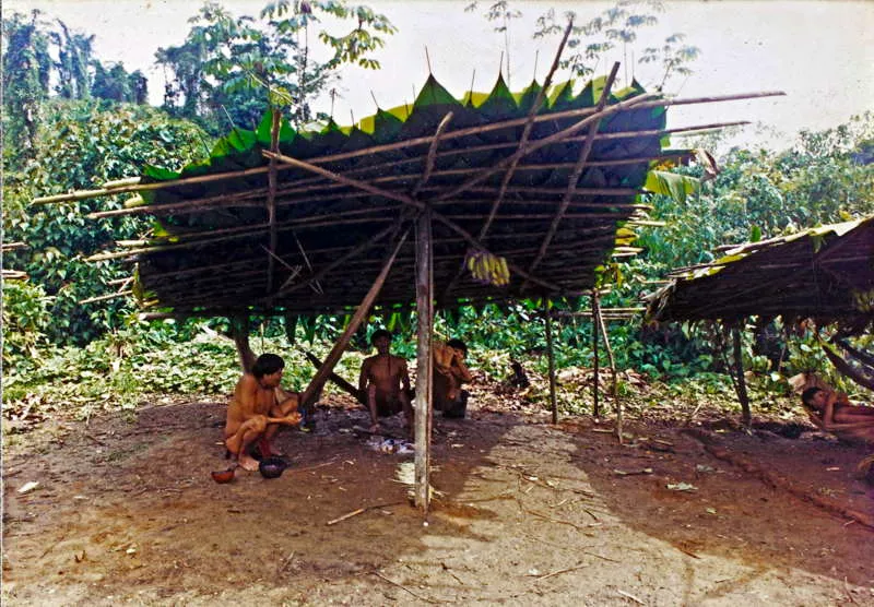 Las estructuras unifamiliares de los yanomam presentan una enorme simplicidad y versatilidad de carcter adaptativo en la itinerancia selvtica, casi como si se tratara de grupos cazadores- recolectores. En ambos casos, la necesidad de uso de campamentos transitorios y la gran movilidad son factores que determinan la sencillez adaptativa. Lo interesante de estas estructuras, conocidas como tapiri, es que con este mismo sistema se pueden construir unidades juntas o cercanas para conformar agrupaciones de carcter ms comunitario, como lo que se ha encontrado en Chiribiquete. As mismo, resulta sorprendente que este tipo de estructuras de los yanomam (Gasparini y Margolies 2004: 7) resulten ser semejantes a las (ver plano pgina 301, e.) que emplean los nukak (Politis, 1996: 87). En las imgenes, se aprecia el mismo diseo unifamiliar, que se puede construir y armar con gran rapidez, formando, de paso, estructuras semilunares (lnulas) o crculos, segn la necesidad. 