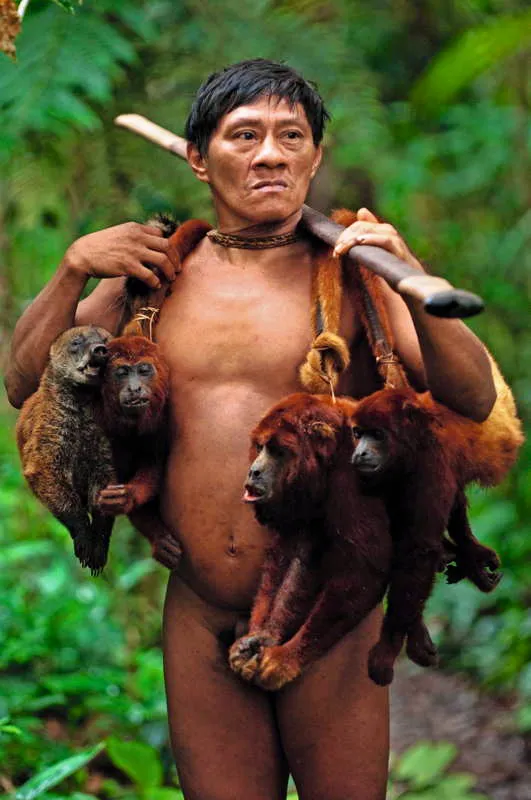 Hombre cazador amaznico con algunos monos aulladores (Alouatta seniculus) y un cusumbo o coat (Nasua nasua), despus de una afortunada faena de caza. 