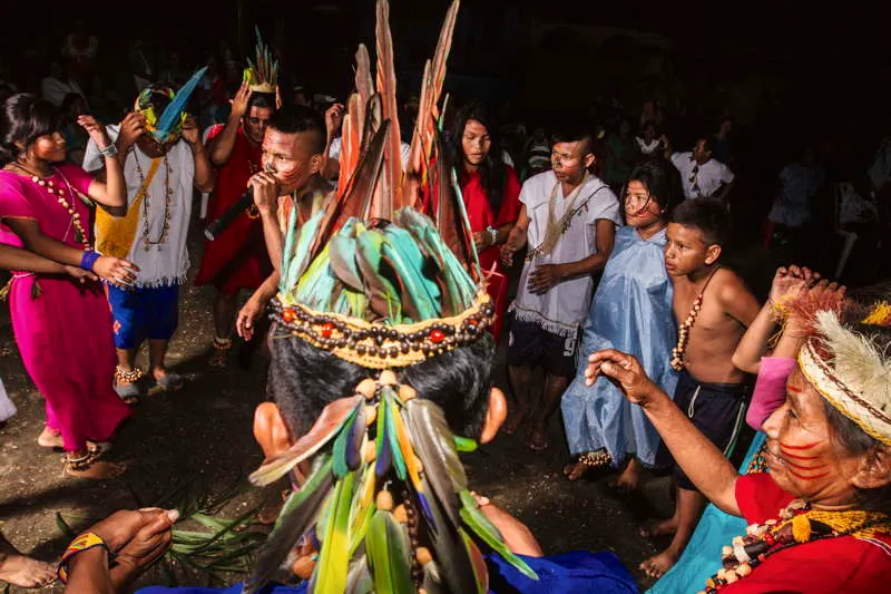 Los rituales indgenas en las comunidades amaznicas implican una gran cantidad de actores y participantes que son guiados en los diferentes momentos de las actividades ceremoniales por el chamn. Su indumentaria, sus cnticos, su pintura corporal, sus objetos ceremoniales e instrumentos tienen una lectura propia y sagrada, que es entendida, generalmente, por el resto de los chamanes locales o vecinos. En la imagen, una danza ritual de la comunidad koreguaje del Putumayo. 