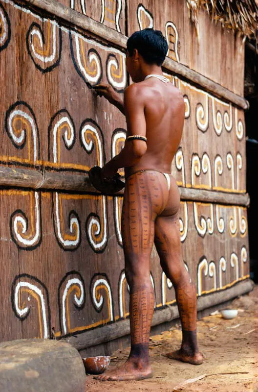 Hombre tukano decora con volutas divergentes, fraccionadas por un eje horizontal, la fachada de una maloka. Los colores y los elementos son muy cercanos a la jaguaridad y a la iconografa de Chiribiquete. Es probable que, como en este caso, la interpretacin simblica vare en cada uno de los pueblos o etnias, segn los parmetros propios de su cosmovisin. 