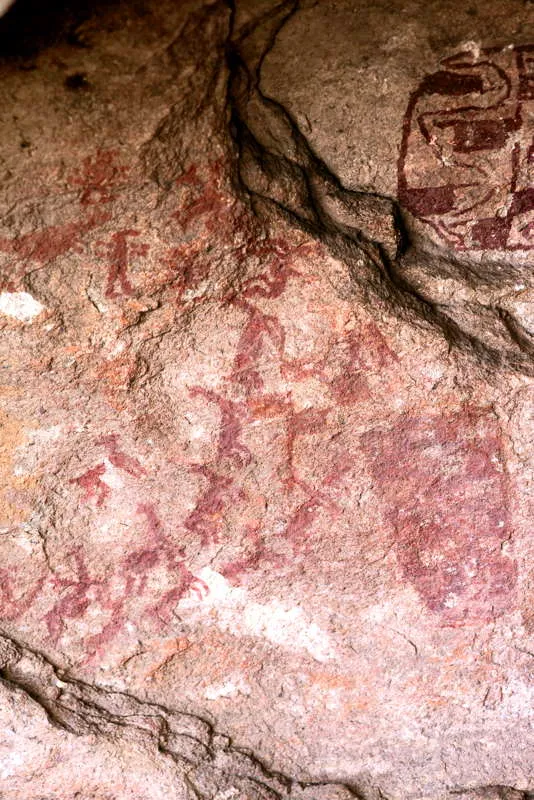 Detalle de una escena de cacera de camlidos (alpacas y vicuas, posiblemente) del sector Hakaklluni, por parte de hombres con cabeza reptiloide, pertenecientes a una tradicin de propulsores. Estas representaciones rupestres en la regin de Macusani, cerca de la transicin de la cordillera de Carabaya a la Ceja de Selva (departamento de Puno), permitira sugerir la intromisin de estos cazadores desde la cuenca amaznica. 