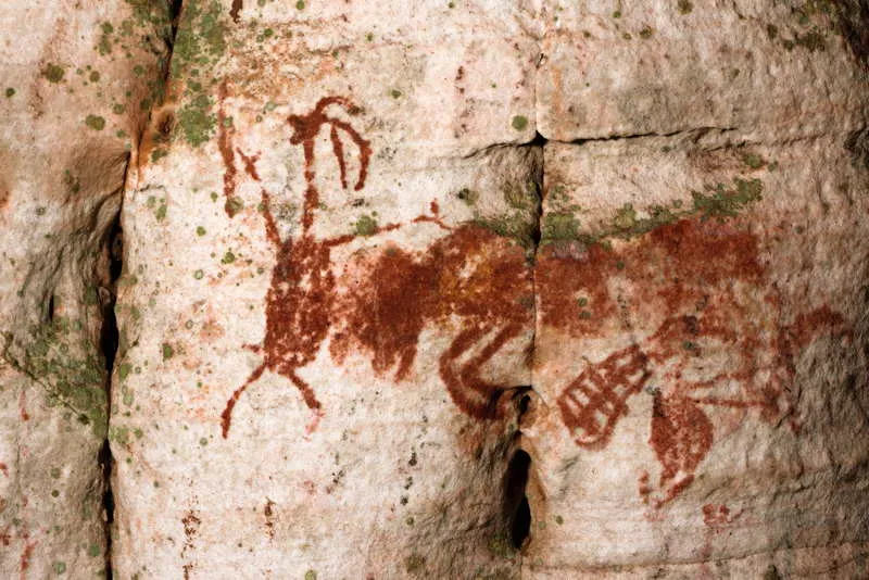 En esta otra escena de Miserandino, se observan cazadores con armas, algunas representaciones estilizadas de los animales, todos en la agitacin y el movimiento caracterstico de la iconografa relacionada con la TCC. Escenas de caza y recoleccin, as como de elementos geomtricos acompaantes, son frecuentes en esta serrana de Santiago y muestran una evidente correlacin temtica y estilstica con la TCC. 