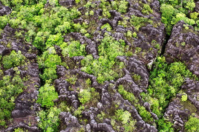 Caminos entrecortados, laberintos de lava hacen inexpugnable la entrada a las escarpadas cumbres tepuyanas. El Sol haba logrado hacer de esta maloka csmica un verdadero refugio que tornaba en desaf o monumental llegar a los recnditos lugares donde se dej plantada la huella solar del inicio. 