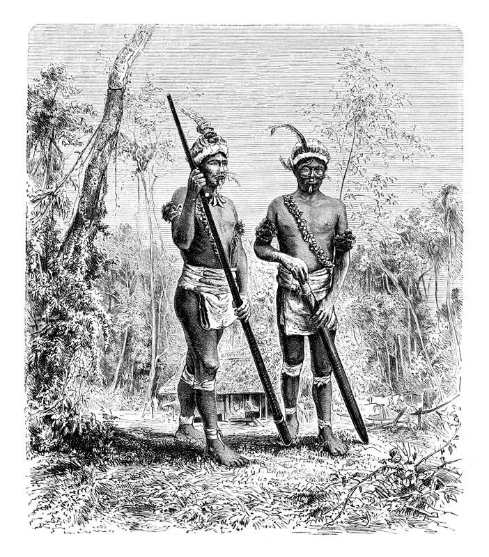 Indios nativos de la Amazonia con un atuendo muy particular en el adorno de la cara que, como los carijona, llamaba la atencin por sus rasgos felinos. En este grabado de 1880 se observa el uso del mazo o la macana, los brazaletes y pantorrillas bien apretados y una corona con pluma de guacamaya para engalanar su identidad guerrera. 