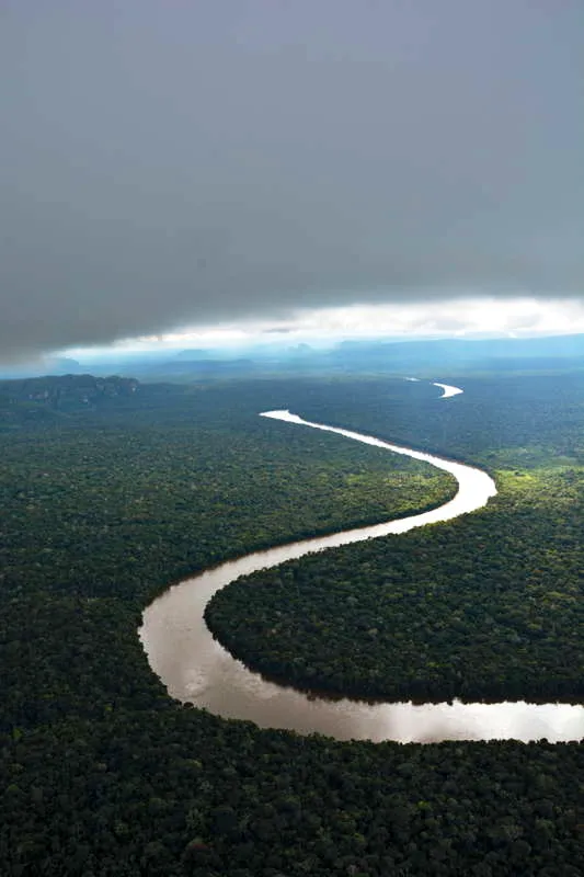 La zona de influencia del rea protegida son resguardos indgenas o coincide casi en su totalidad con la Zona de Reserva Forestal de la Amazonia, creada por la Ley 2 de 1959, del Ministerio de Ambiente y Desarrollo Sostenible. En la imagen del ro Apaporis se alcanza a observar, sobre la margen izquierda, las estribaciones de la serrana dentro del PNN y, del otro lado, la Reserva Forestal. 